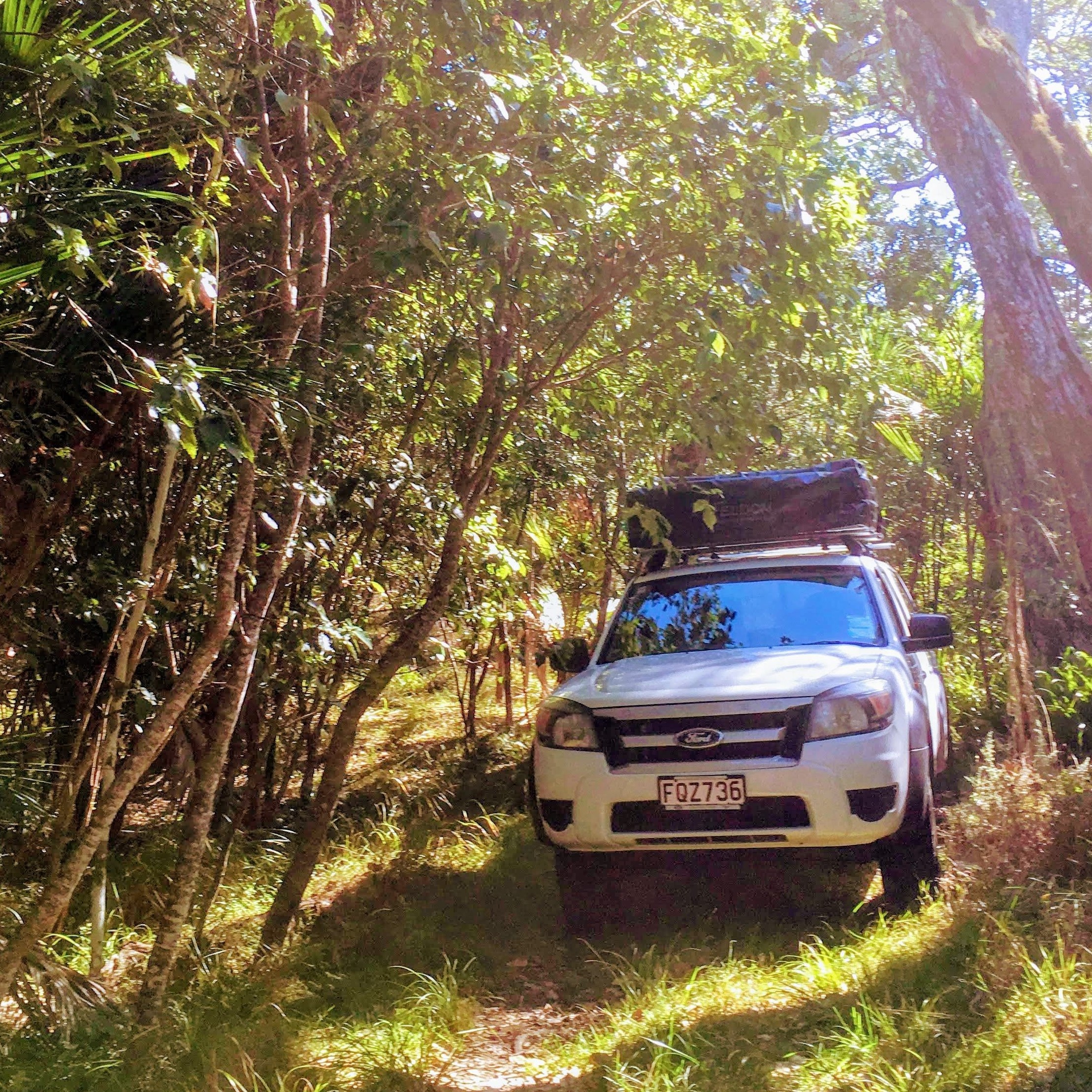 work vehicle in bush